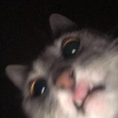Joshua